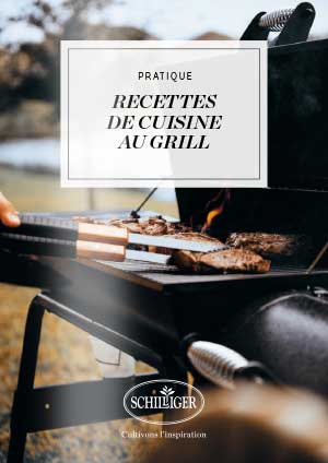 Recettes de cuisine au grill