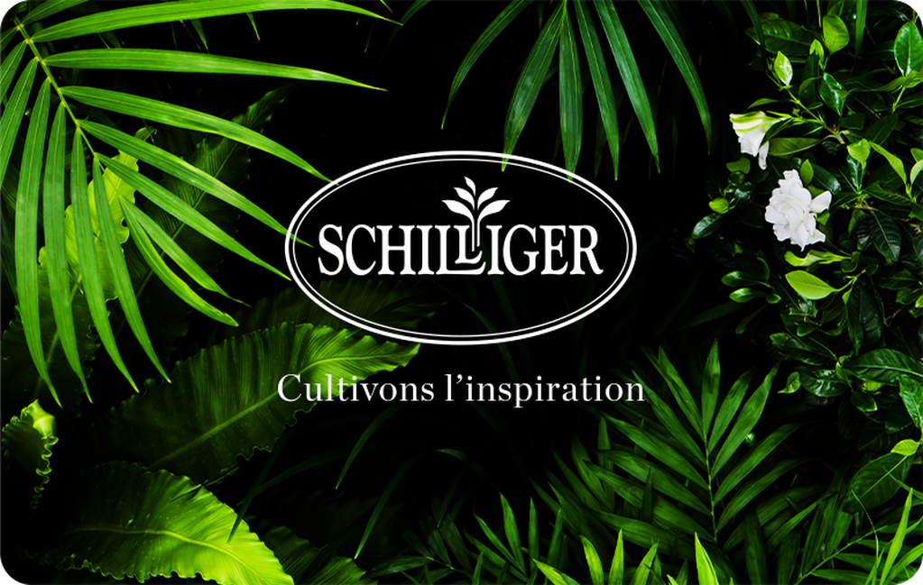 Entrez dans la grande famille Schilliger, et bénéficiez de nombreux avantages.