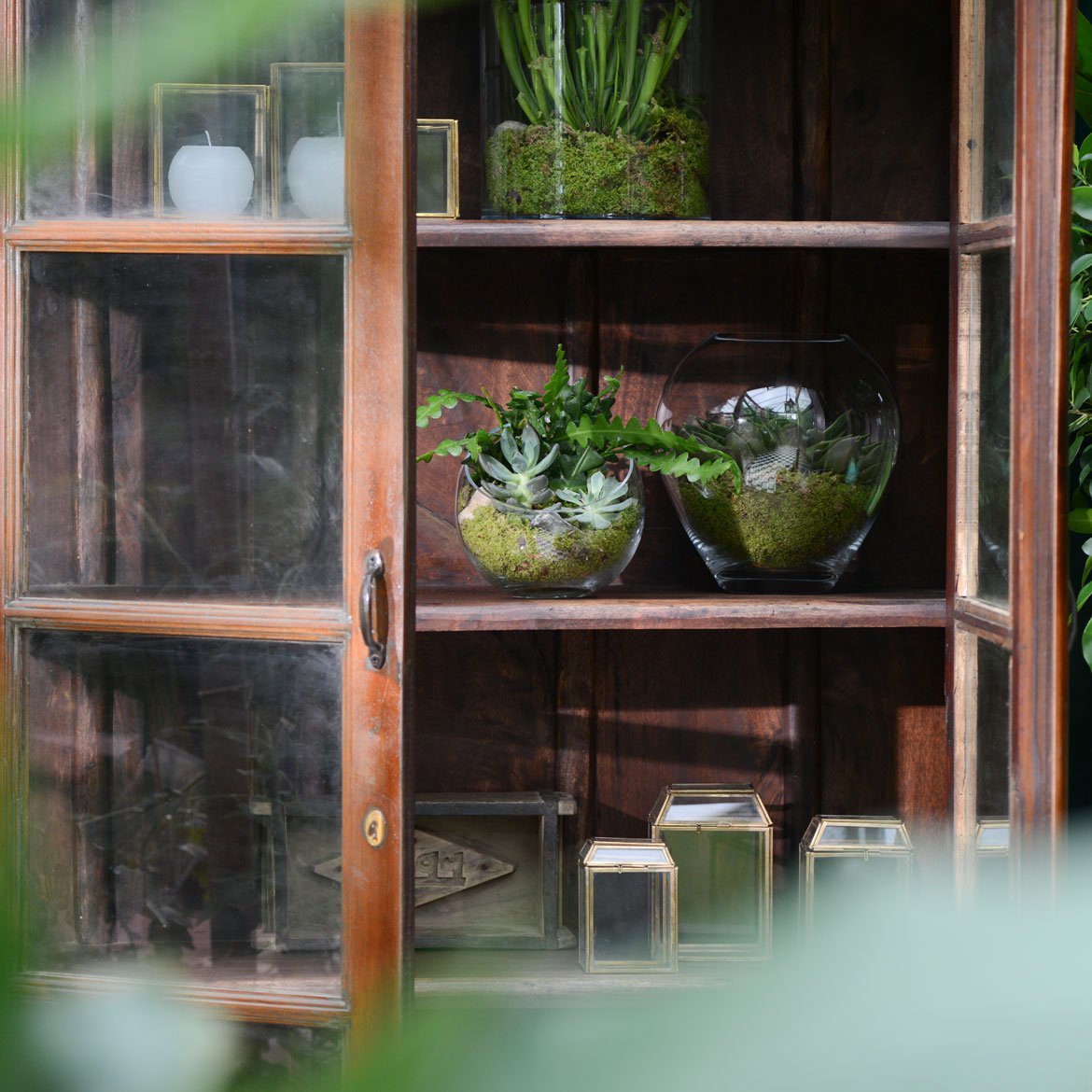 Blog - Intégrer du végétal dans sa décoration d'intérieur