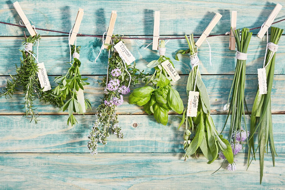 Conserver ses plantes aromatiques, conseils et idées