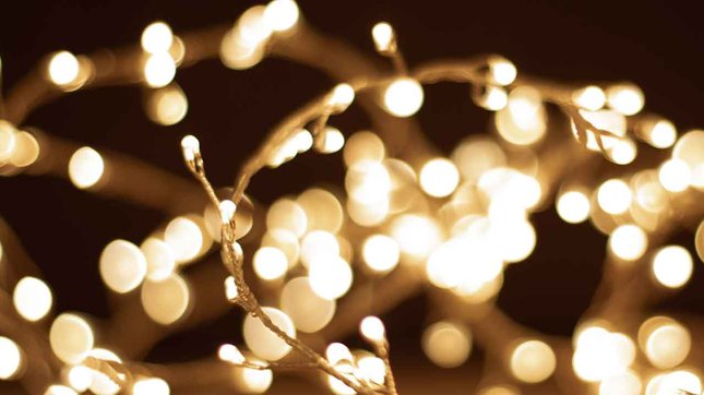 Plongez dans la magie de Noël : guide complet pour illuminer votre maison et jardin