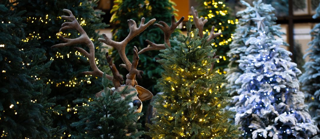 Lumière sur l'arbre de Noël créatif pas comme les autres