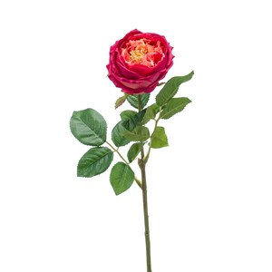 Schilliger Sélection  Rose Jenny en branche artificielle RT Rouge magenta fuchsia 60cm