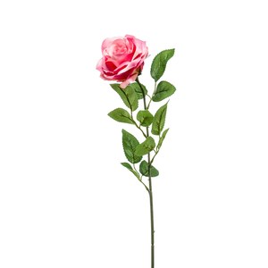 Schilliger Sélection  Rose Marleen en branche artificielle Rouge rose 63cm