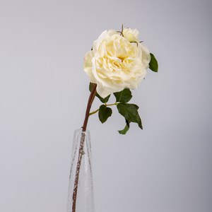   Rose ouverte Dutchess avec bouton RT Blanc 50cm