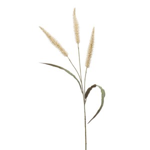 Schilliger Sélection  Pennisetum en branche artificiel Blanc crème 93cm