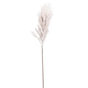 Schilliger Sélection  Herbe de Pampas en branche Blanc 92cm