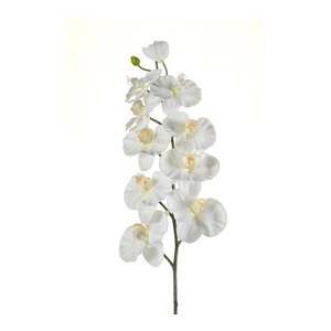 Schilliger Sélection  Phalaenopsis 9 fleurs artificiel  100cm