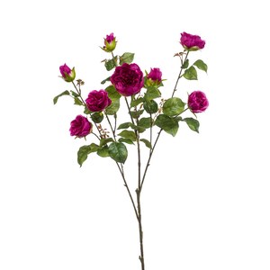 Schilliger Sélection  Rose london branch x3 dk purple 110cm Violet magenta foncé 110cm