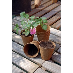 Nortene  GROWING POT 24 pots ronds 100% biodegradables  Ø 6cm