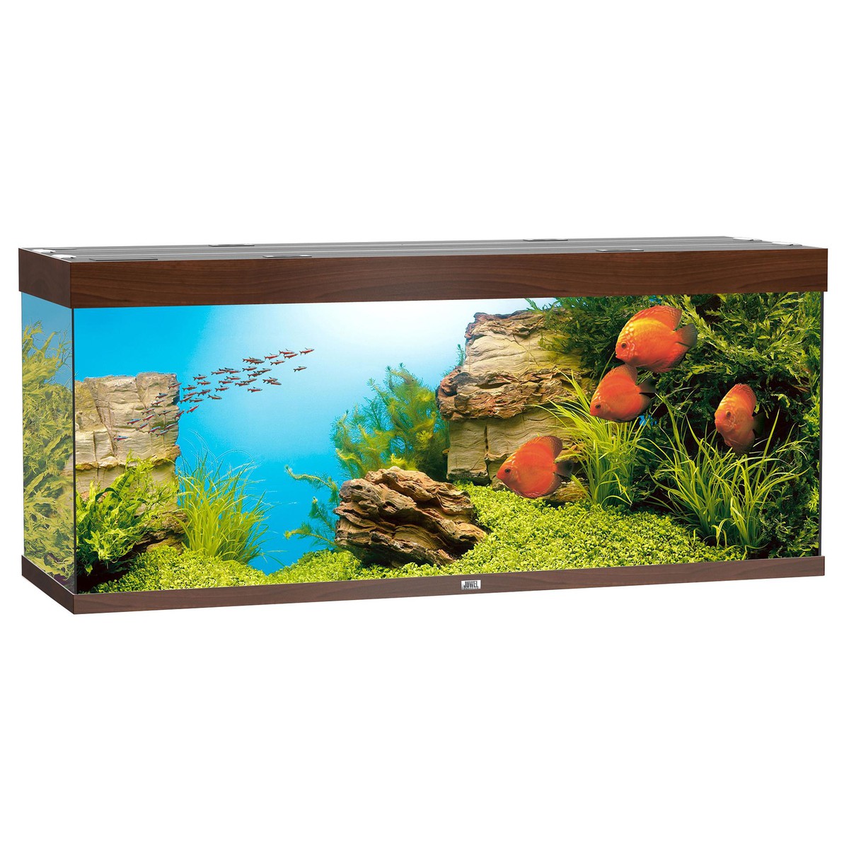 Juwel Rio Juwel Aquarium rio 450 brun foncé LED  dim intéreiur 147x47.5x58cm