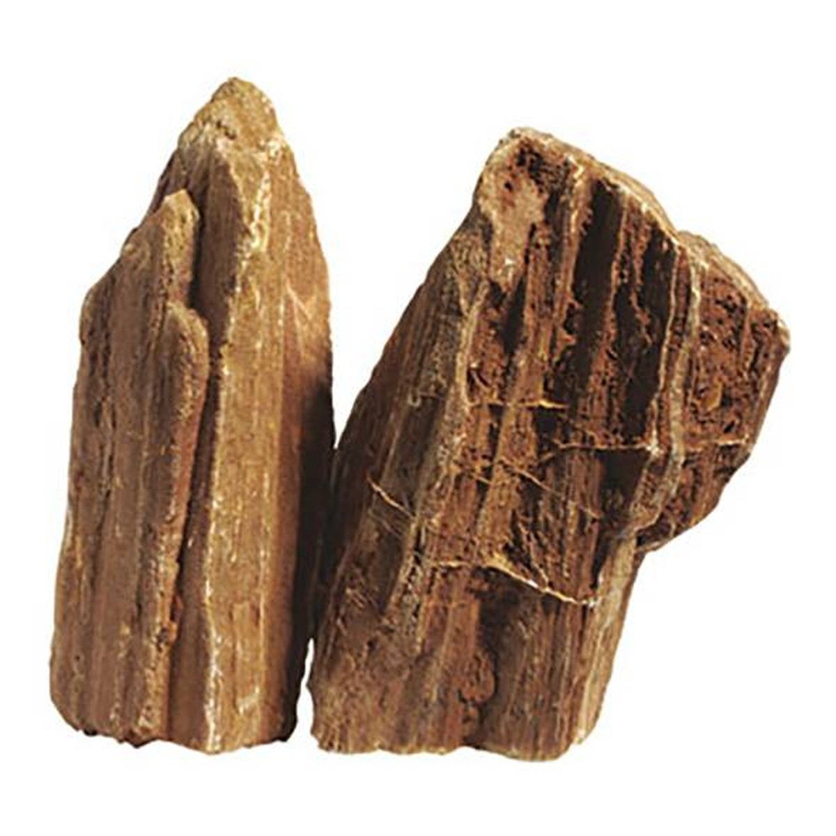   Bois fossilisé 2.3-2.7 kg  