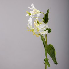   Gloriosa en branche Blanc 103cm