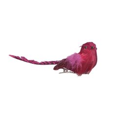   Oiseaux en plume avec clip Rouge bordeaux 13x4x4cm