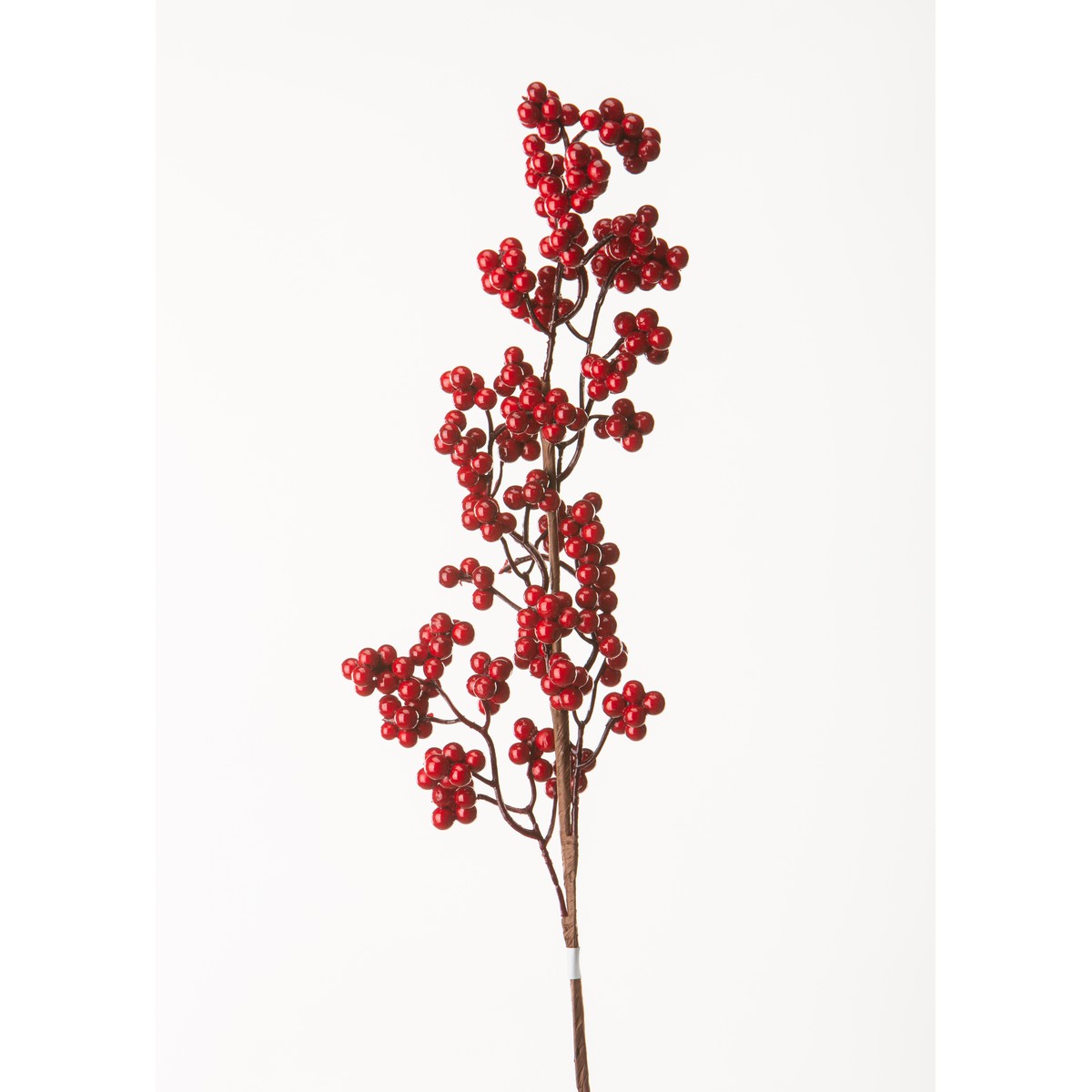 Schilliger Sélection  Baies rouge en branche Rouge cerise 60cm