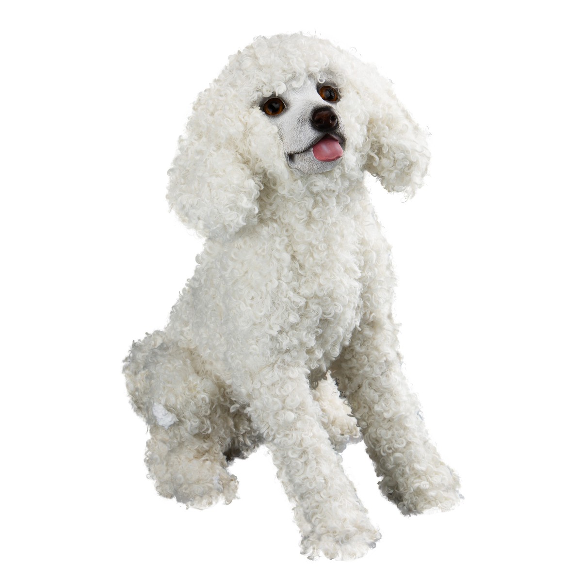 Chien, Schilliger Sélection Caniche blanc 52cm | Schilliger