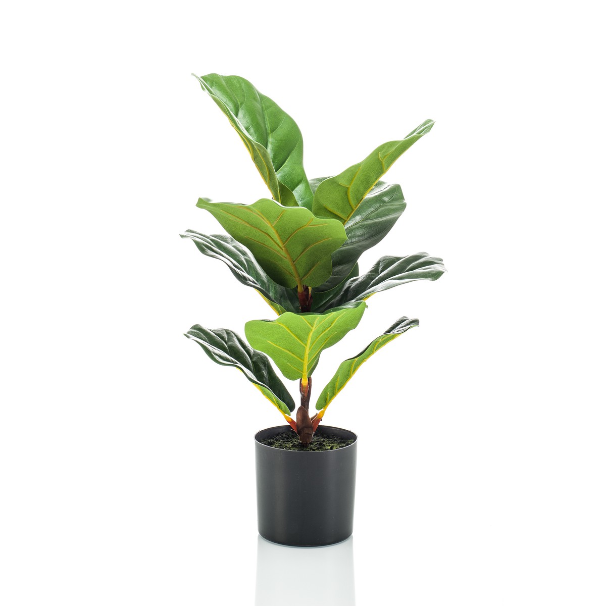 Schilliger Sélection  Ficus lyrata artificiel  55cm