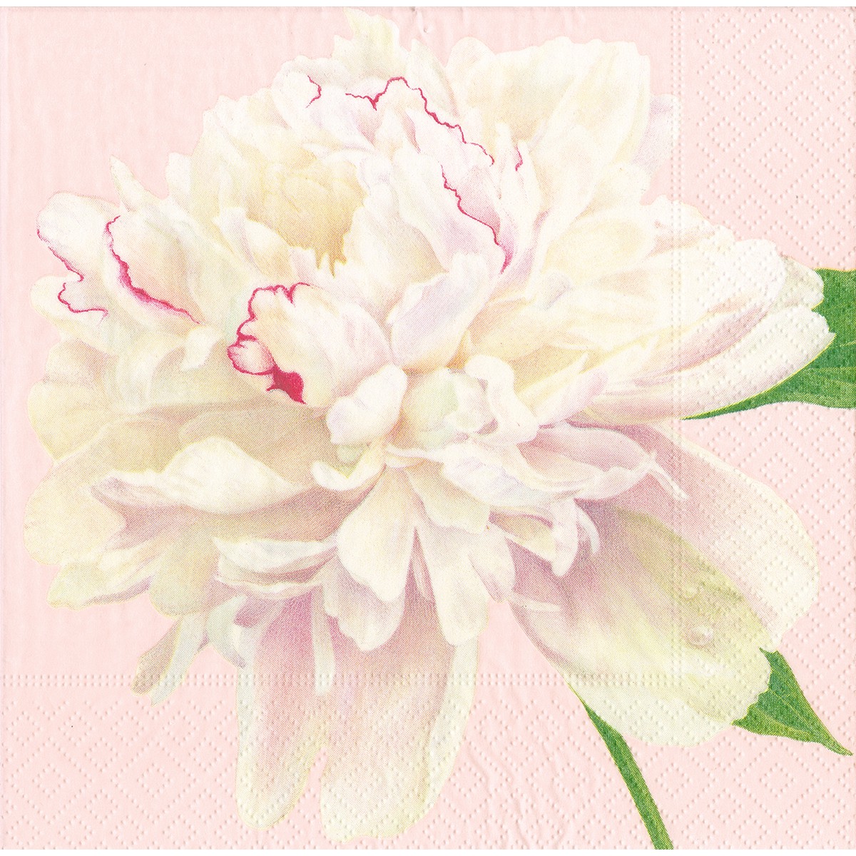 Caspari  Serviette Cocktail Duchess peonies blush  25x25cm