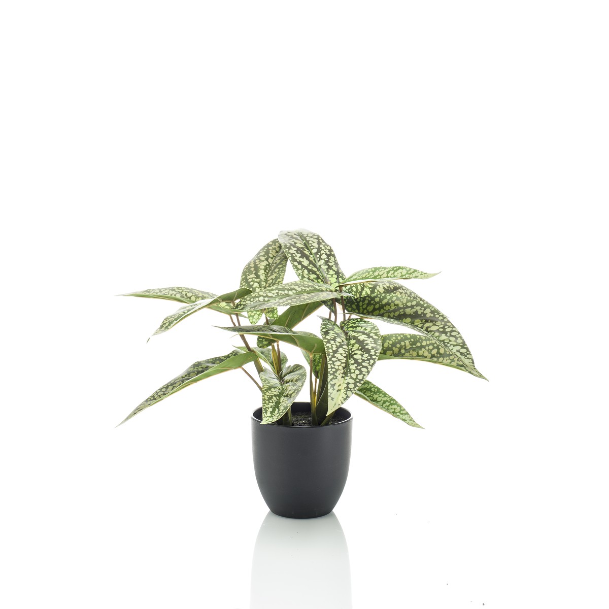 Schilliger Sélection  Calathea dots artificiel  38cm