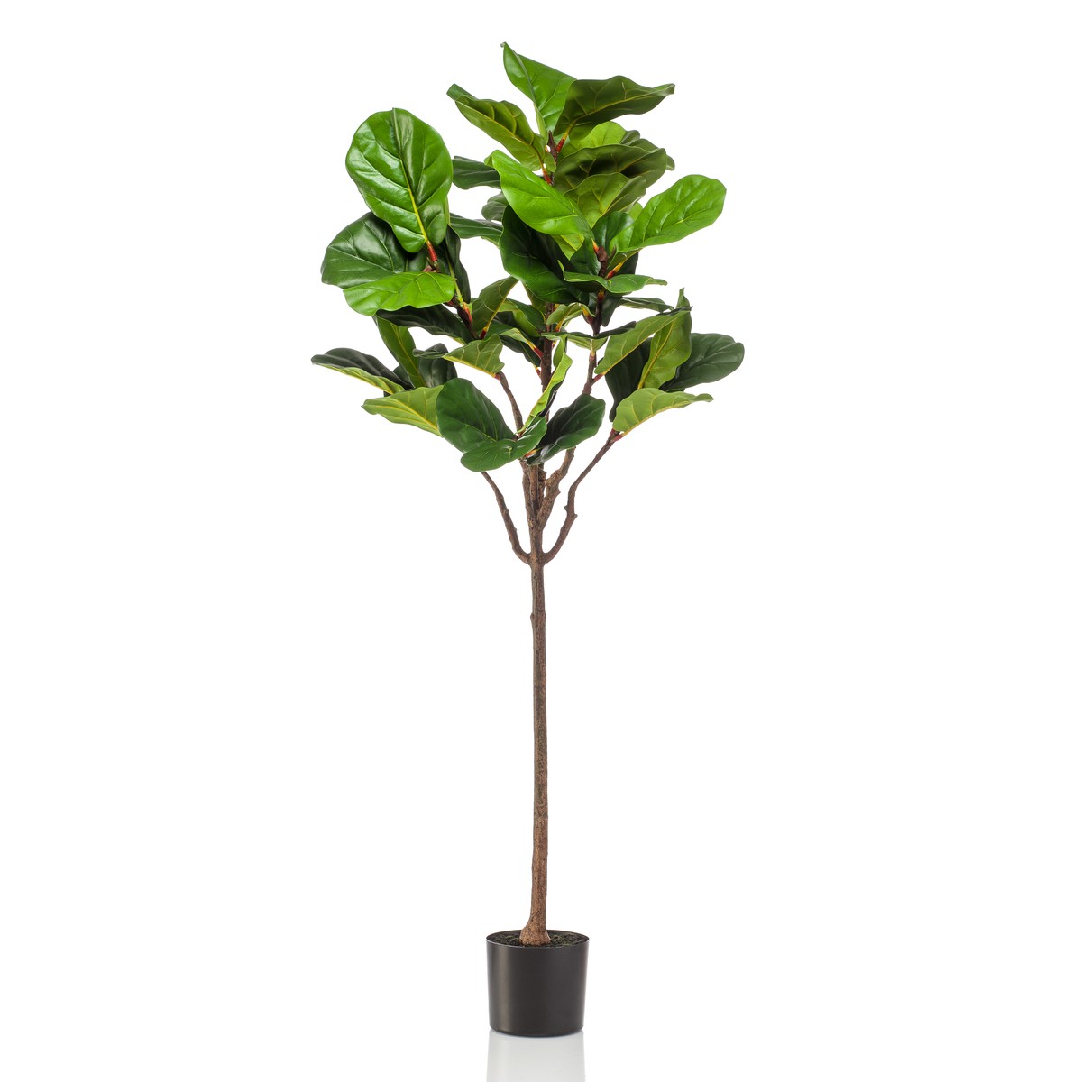 Schilliger Sélection  Ficus lyrata umbrella artificiel  155cm