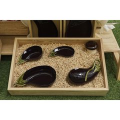 Bordallo Aubergine Plat Aubergine  24.6x11.5x3.4cm