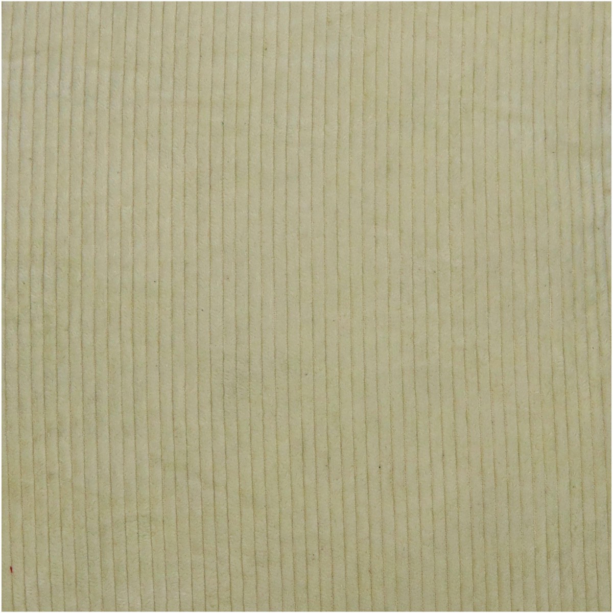 Schilliger Sélection  Coussin velour côtelé carré Blanc ivoire 45x45cm