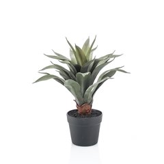 Schilliger Sélection  Agave en pot artificiel  45cm