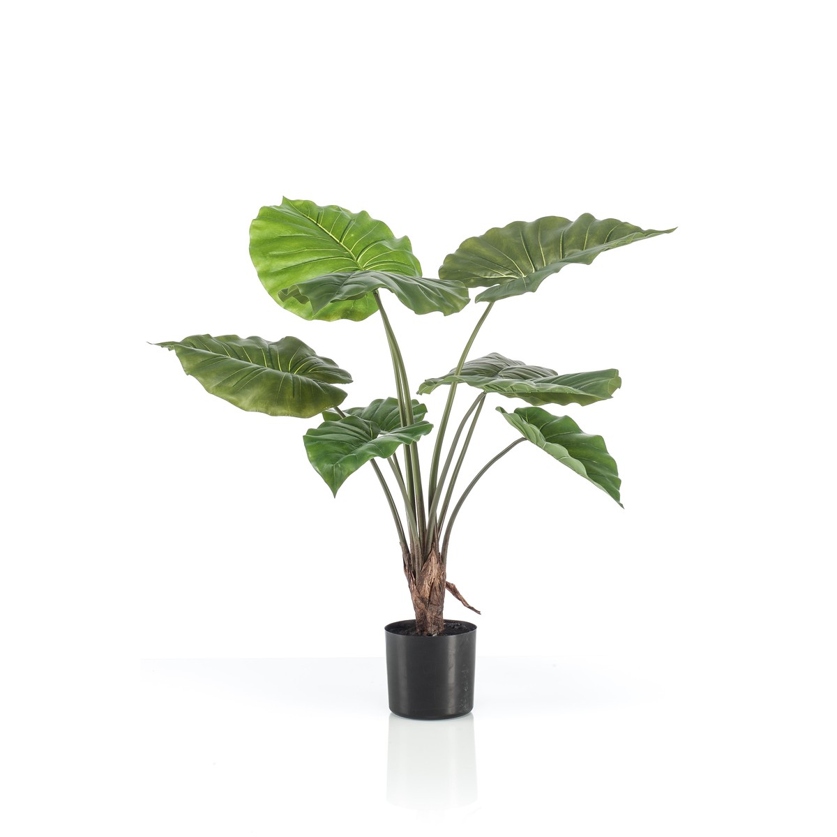 Schilliger Sélection  Alocasia artificiel  70cm