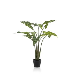 Schilliger Sélection  Alocasia Frydek artificiel  120cm