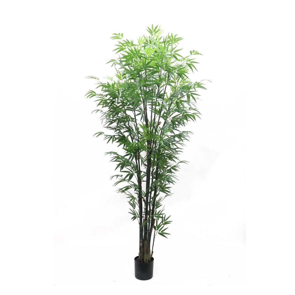 Schilliger Sélection  Bambou noir artificiel  240cm