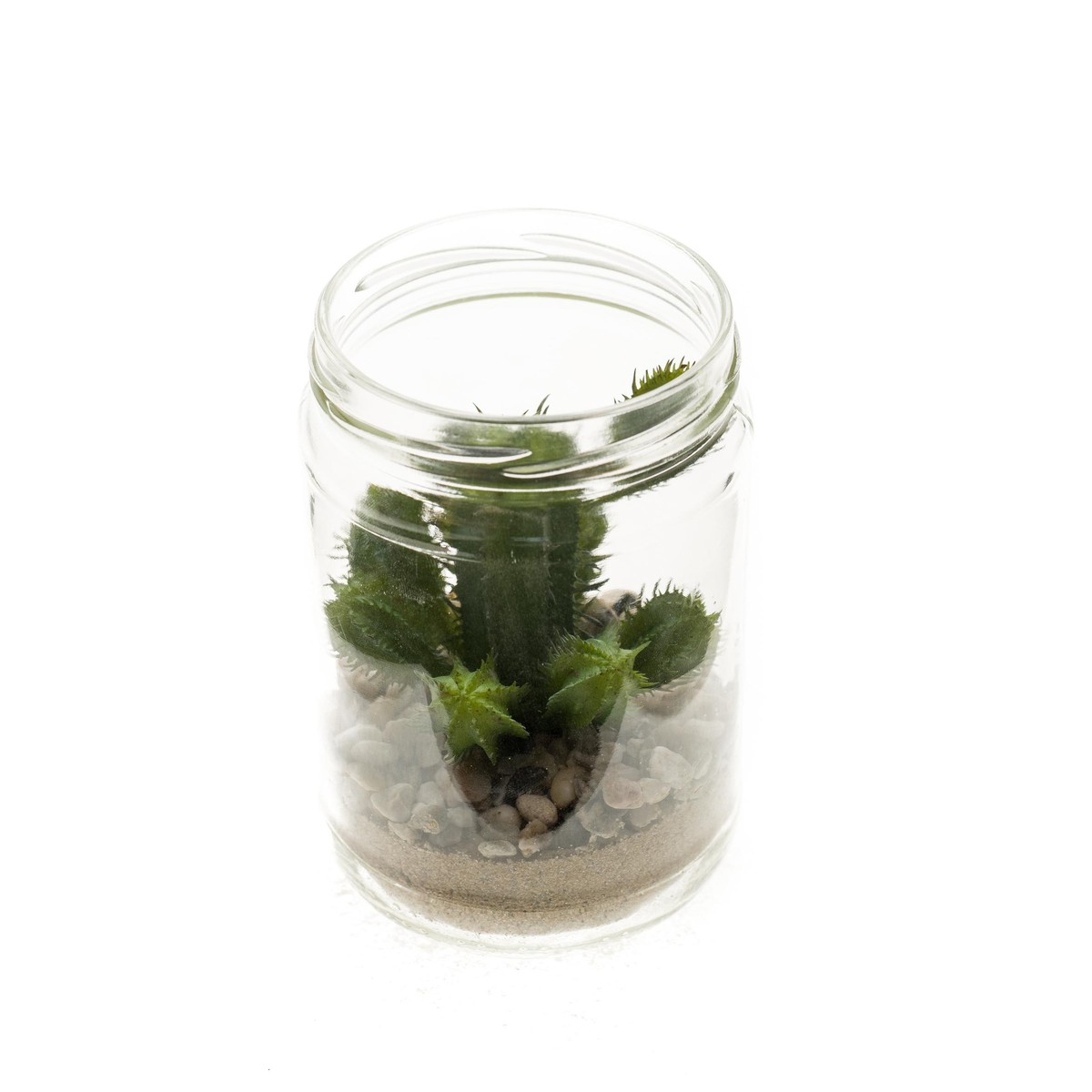 Schilliger Sélection  Cactus pot en verre artificiel  12.7cm