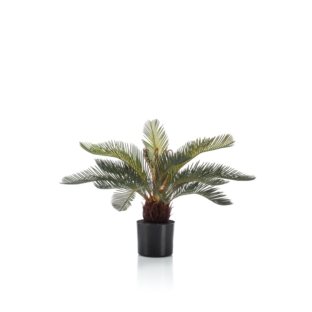 Schilliger Sélection  Cycas artificiel  55cm