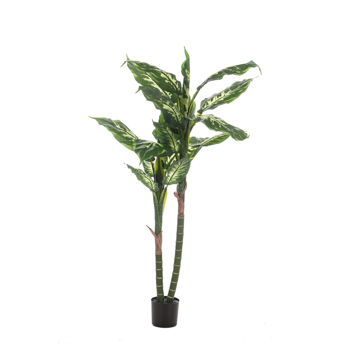 Schilliger Sélection  Dieffenbachia artificiel  150cm