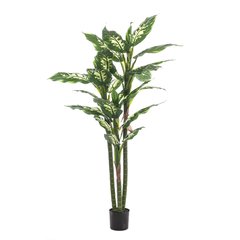 Schilliger Sélection  Dieffenbachia artificiel  180cm