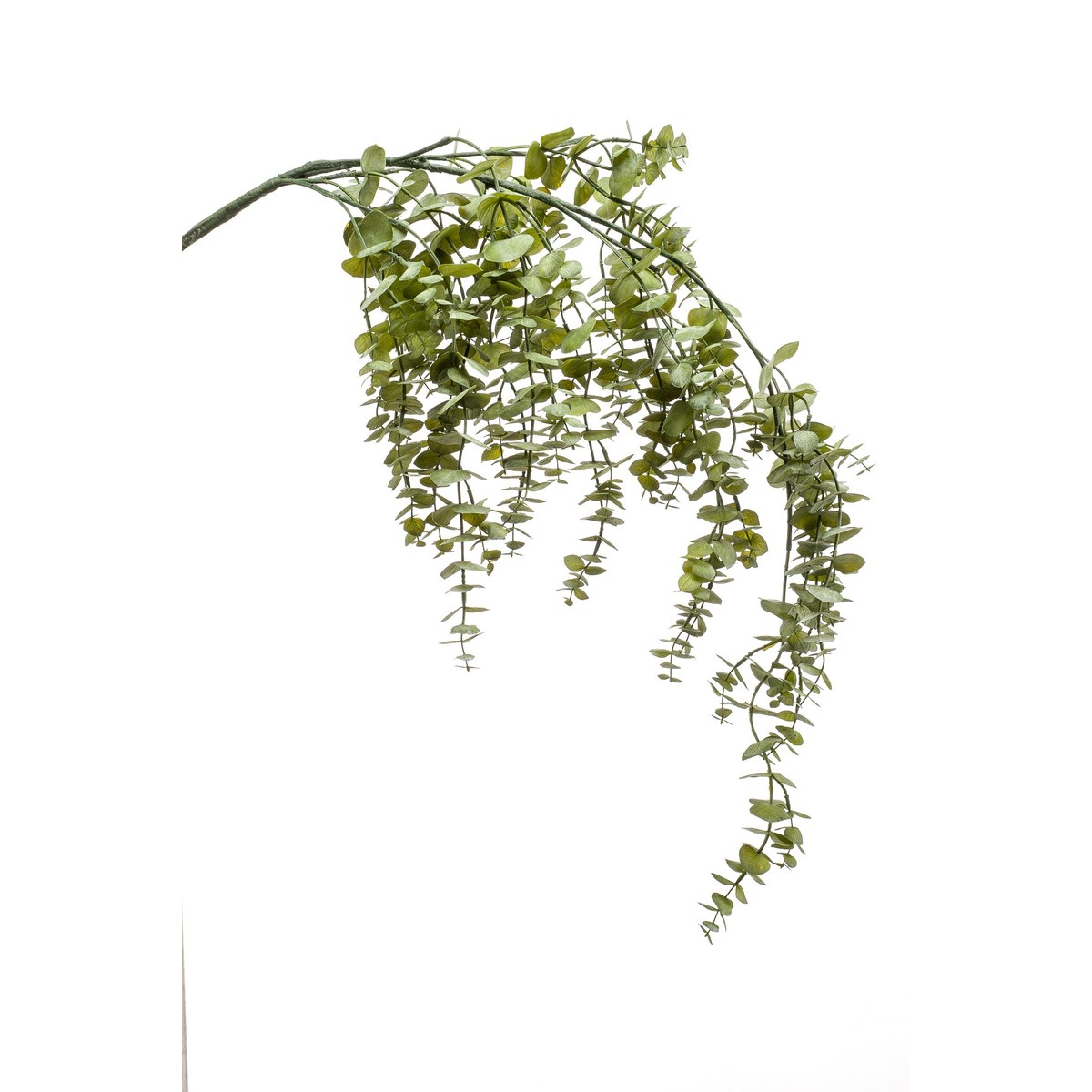 Schilliger Sélection  Eucalyptus retombant artificiel  120cm