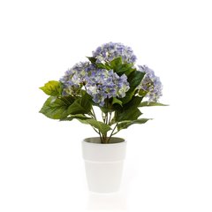 Schilliger Sélection  Hortensia en pot blanc artificiel  37cm