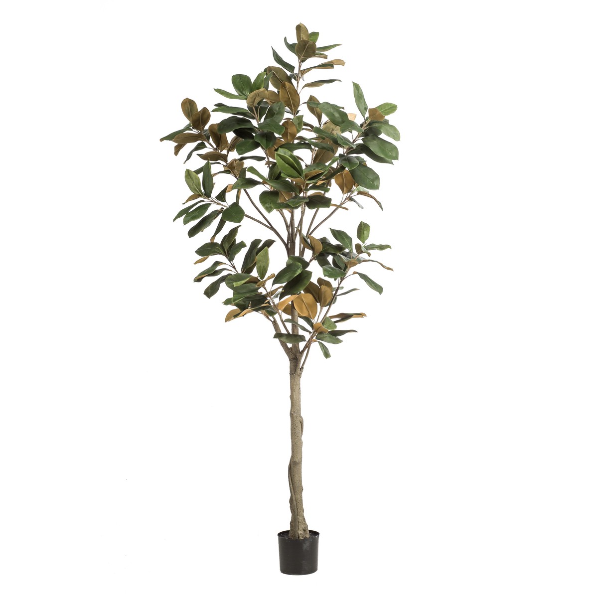 Schilliger Sélection  Magnolia Denudata artificiel  210cm