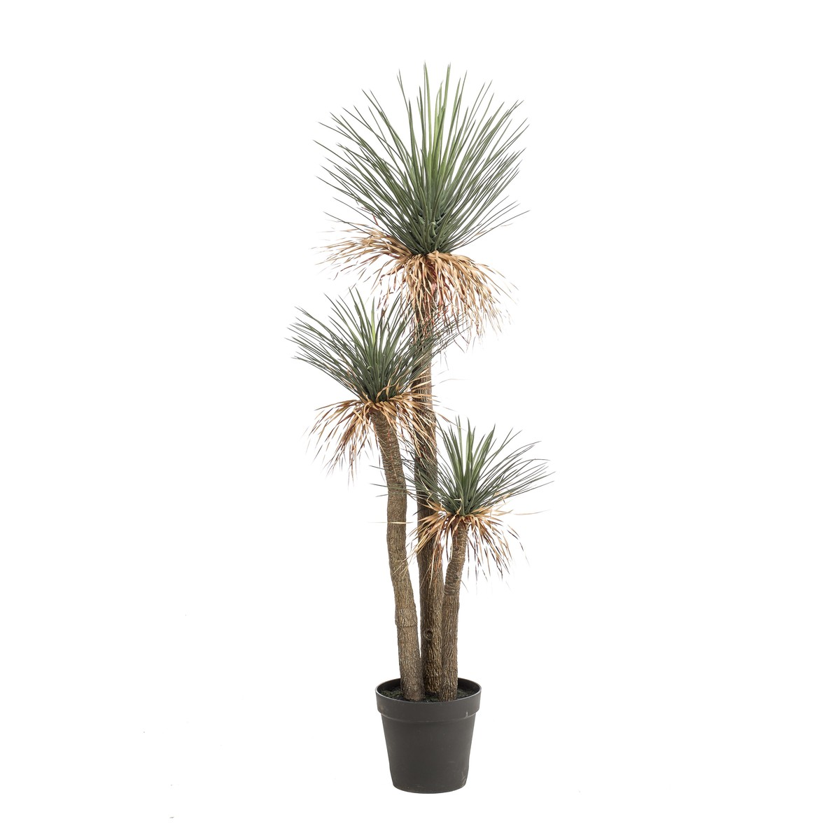Schilliger Sélection  Yucca rostrata 3 troncs artificiel  180cm
