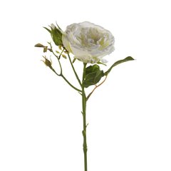 Schilliger Sélection  Rose Anne artificielle Blanc crème 37cm