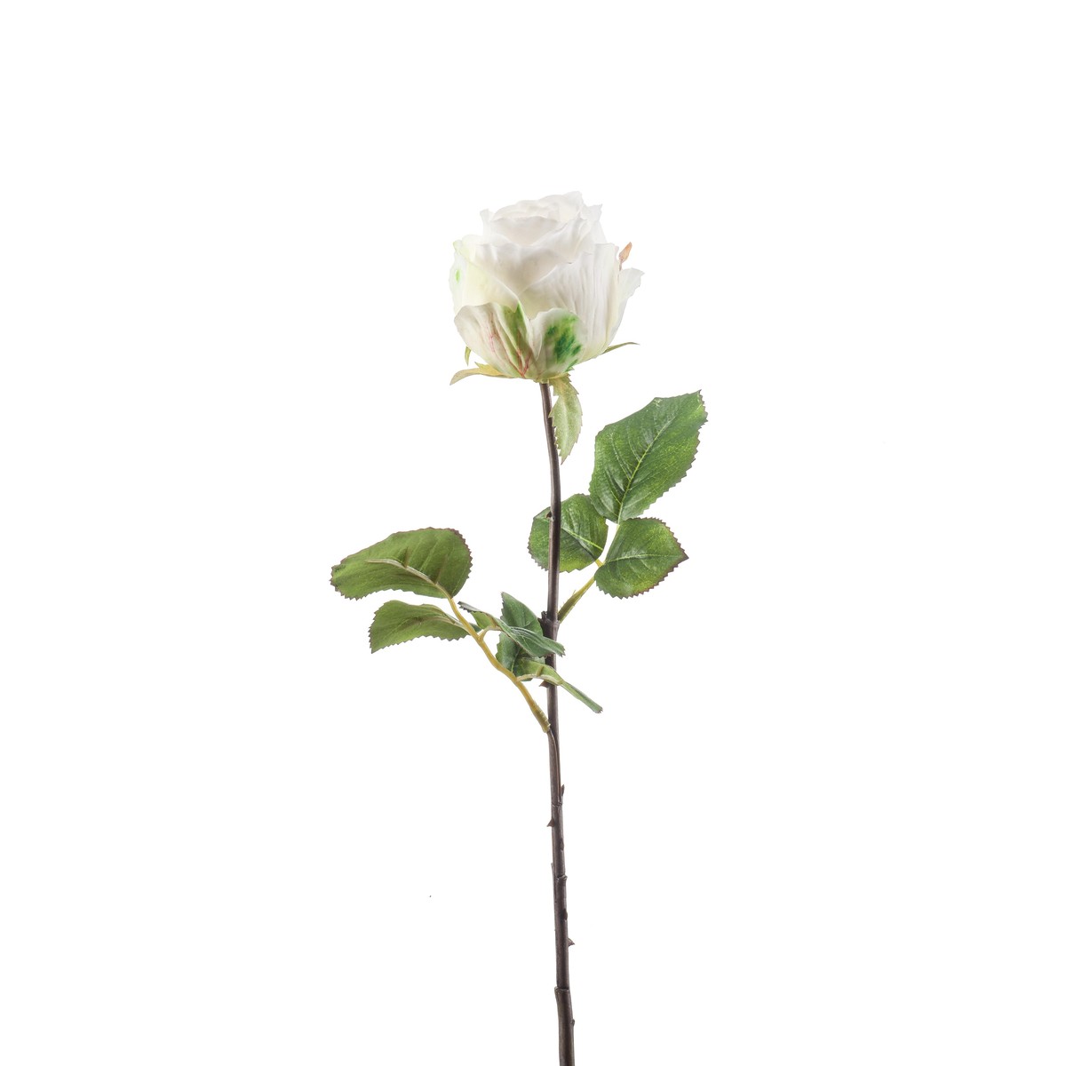 Schilliger Sélection  Rose femke artificielle Blanc 57cm