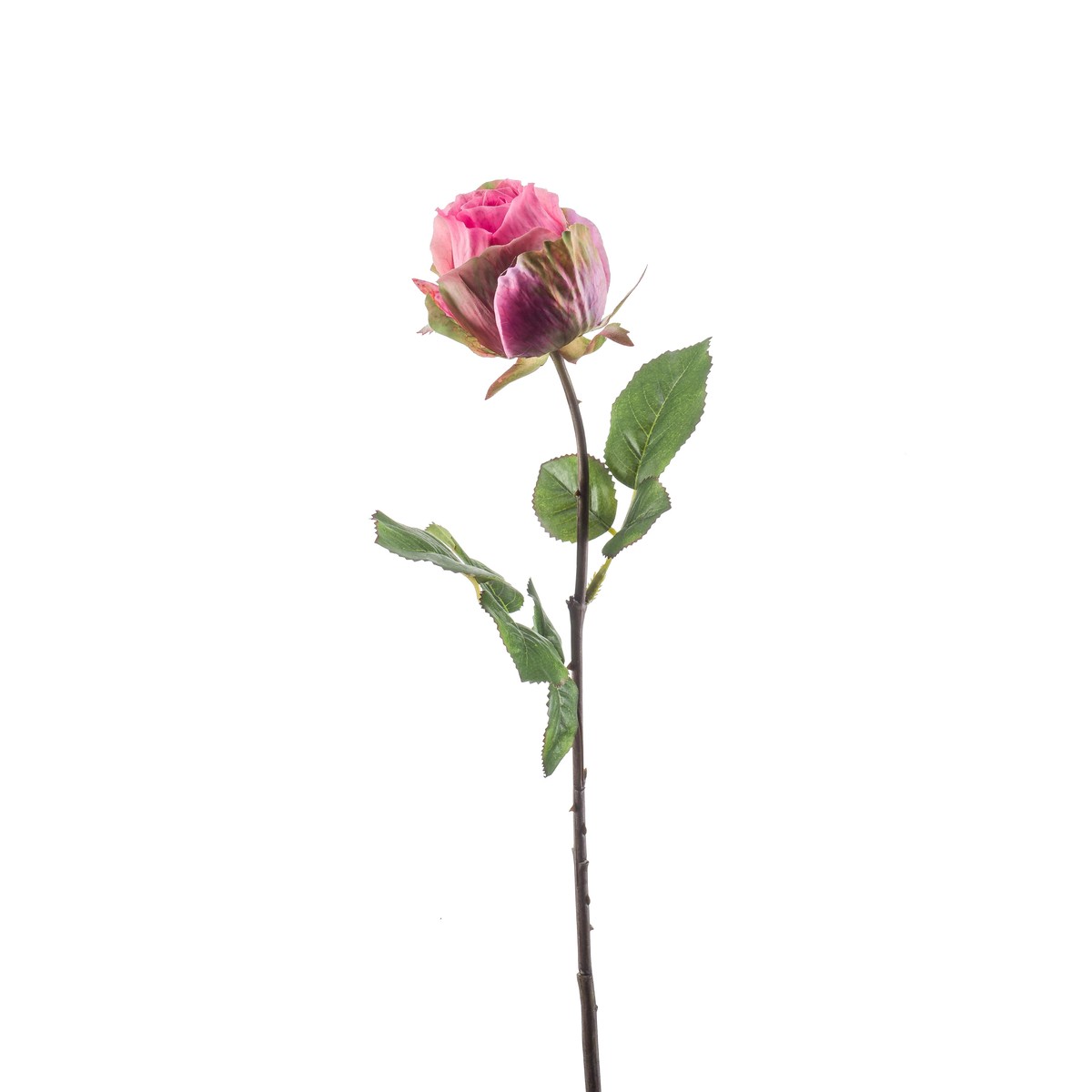 Schilliger Sélection  Rose femke artificielle Rouge rose vif 57cm