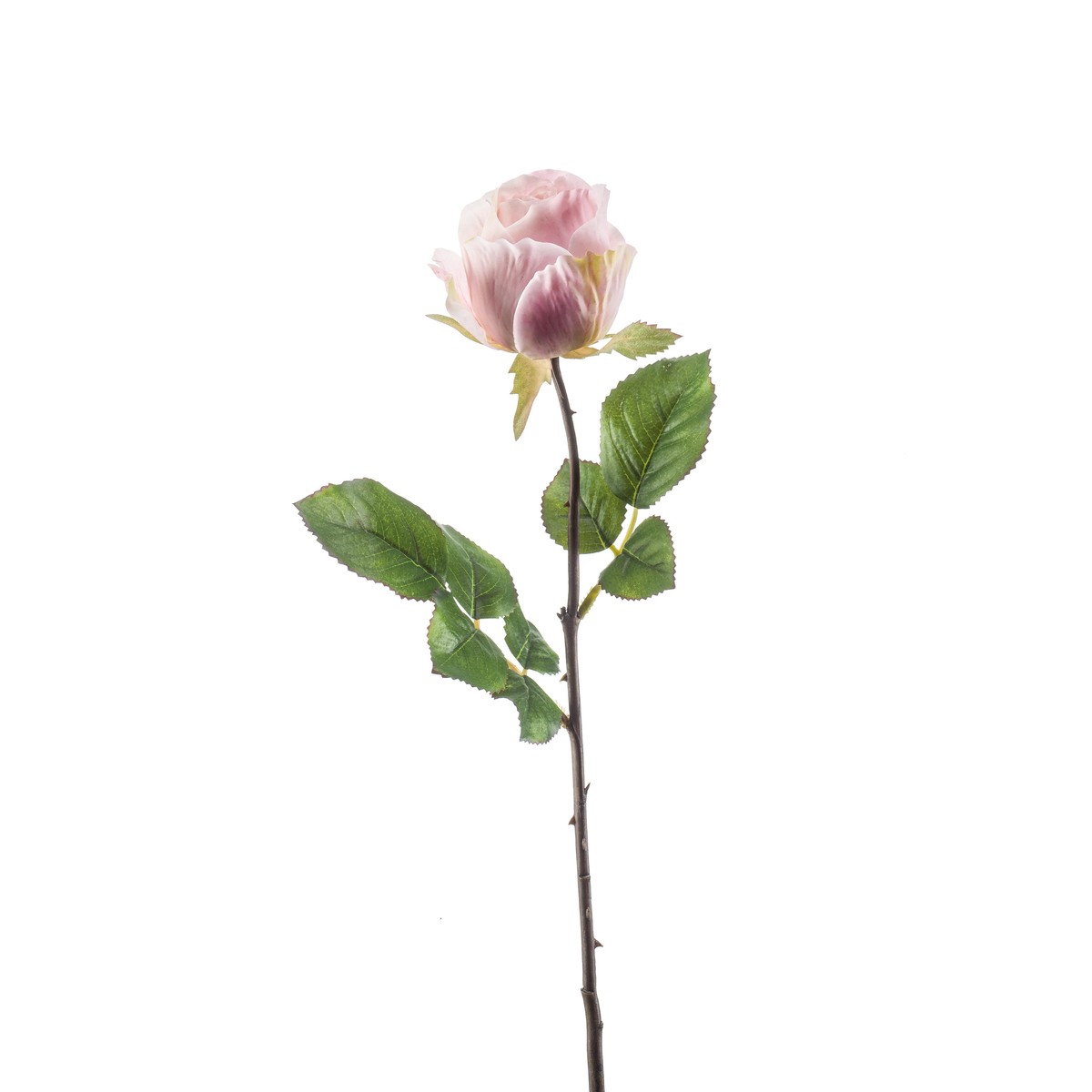 Schilliger Sélection  Rose femke artificielle Rouge rose cuisse de nymphe 57cm