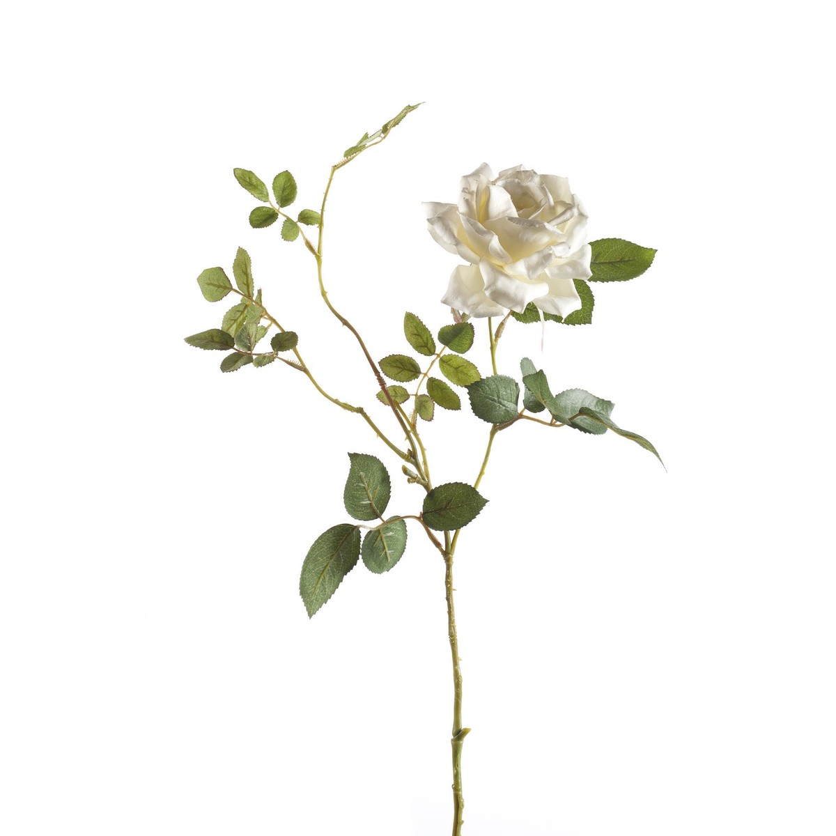Schilliger Sélection  Rose Dianna en branche artificielle Blanc crème 75cm