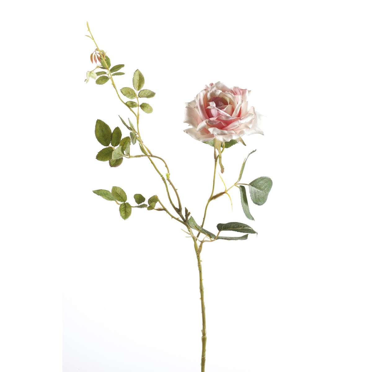 Schilliger Sélection  Rose Dianna en branche artificielle Rouge rose 75cm