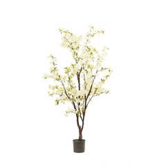 Schilliger Sélection  Cerisier artificiel Blanc 175cm
