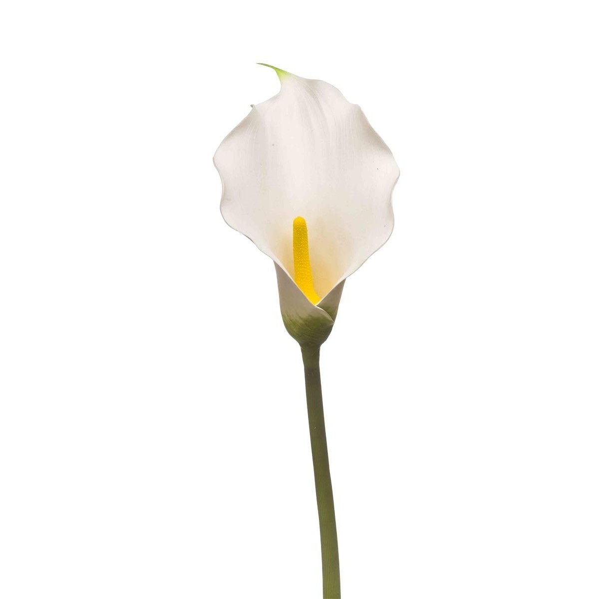 Schilliger Sélection  Calla lily en branche artificiel Blanc 83cm