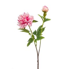 Schilliger Sélection  Pivoine Sarah en branche artificielle Rouge rose 73cm