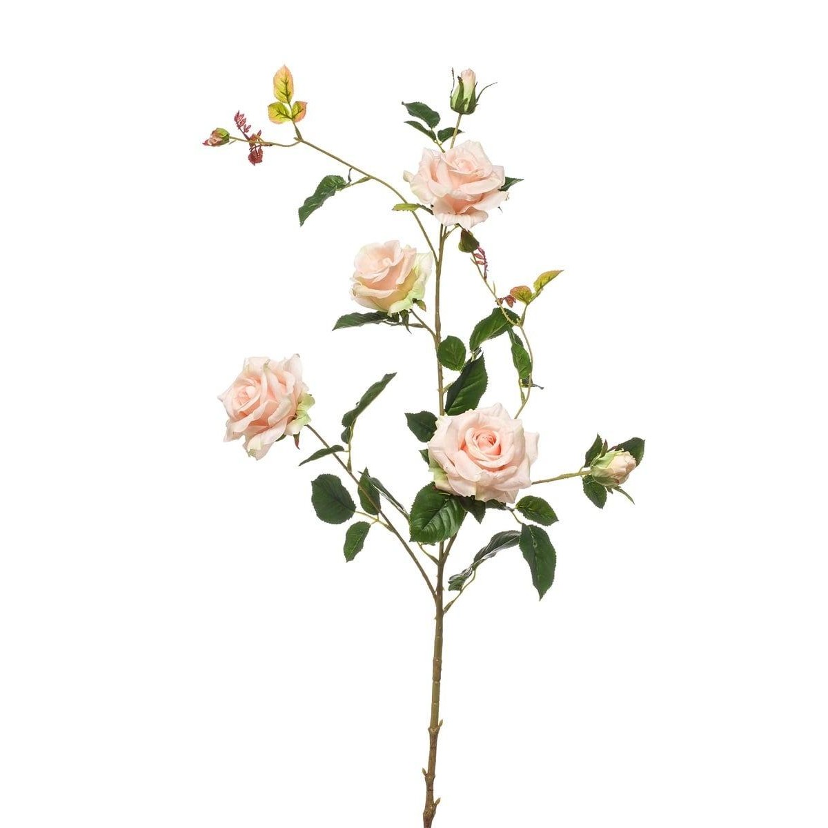 Schilliger Sélection  Rose de jardin en branche artificielle Blanc crème 102cm