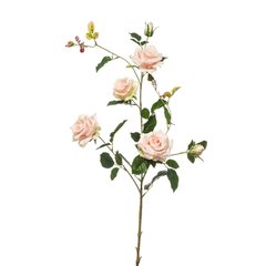 Schilliger Sélection  Rose de jardin en branche artificielle Blanc crème 102cm