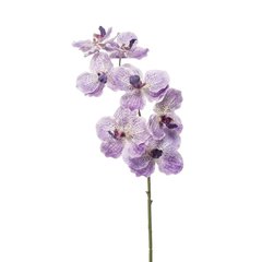 Schilliger Sélection  Vanda en branche artificiel  77cm